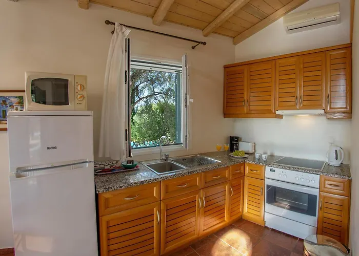 艾格丽斯尼凯塔斯公寓 别墅 Áyios Nikítas